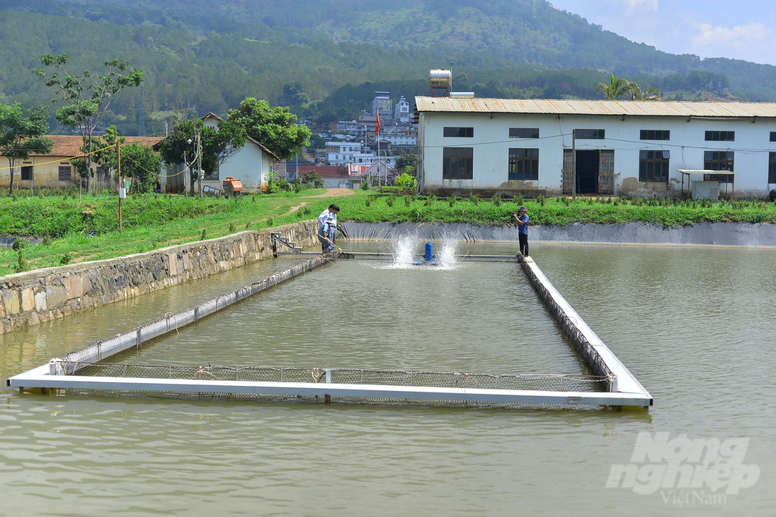 Mô hình nuôi cá tầm lồng trong ao đất được thiết kế đơn giản, chi phí thấp. Ảnh: Minh Hậu.