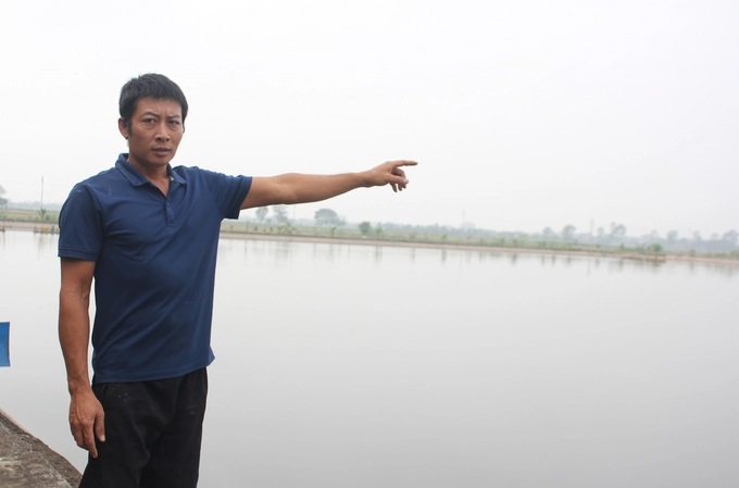 nuoi-ca-trong-ao-ban-noi-chi-phi-thap-loi-nhuan-cao-1431_20221117_679.jpg IMG_6480