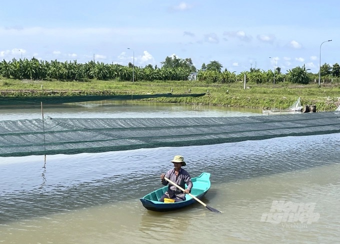nuoi-tom-cang-xanh-mua-nuoc-noi-anh-huu-duc-162707_151.jpg Nuôi tôm càng xanh mùa nước nổi tại TP. Cần Thơ. Ảnh: Hữu Đức.