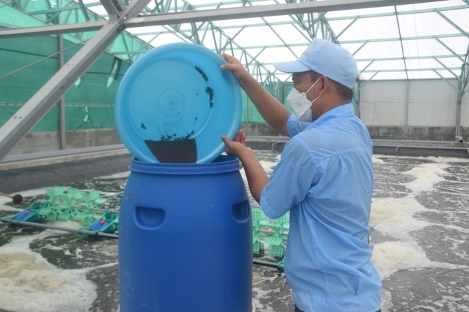 Anh Nhữ Văn Đạt, kỹ thuật trại nuôi A5, Công ty TNHH Việt Úc - Phù Mỹ đổ thức ăn vào máy cho tôm ăn tự động. Ảnh: V.Đ.T.