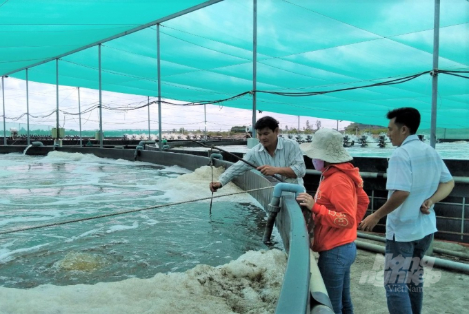 Việc che lưới lan nhằm hạn chế tối đa tia bức xạ từ mặt trời chiếu trực tiếp vào nước, giúp ổn định được nhiệt độ trong thủy vực nuôi, giúp giảm ảnh hưởng bất lợi đến sức khỏe của tôm. Ảnh: Trung Chánh.