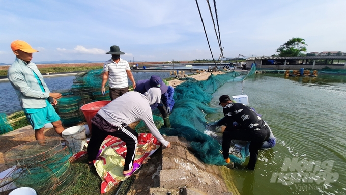 Hiện nay, diện tích nuôi tôm vụ đông của tỉnh Quảng Ninh là 400ha. Ảnh: Văn Nguyễn.