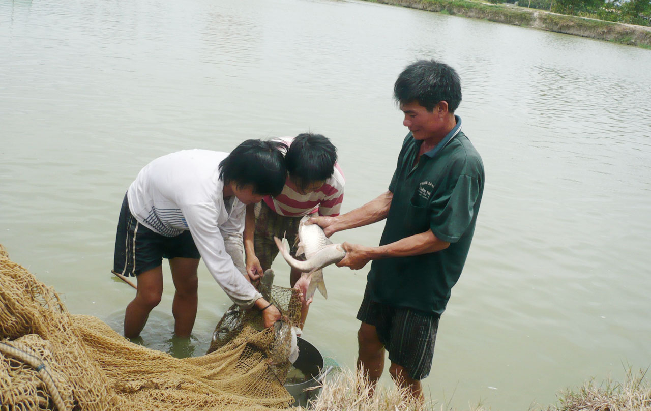 Nhiều nông dân chuyển đổi sang nuôi trồng thủy sản cho thu nhập cao. Ảnh: T. Đức.