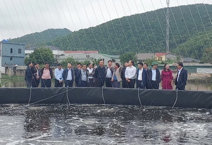 z3817783715310_7c54a5c225a421bfd7134d606f894c1b-112332_189.jpg Thứ trưởng Phùng Đức Tiến và Đoàn công tác của Bộ NN-PTNT kiểm tra mô hình nuôi tôm công nghệ cao tại huyện Nghi Lộc, Nghệ An. Ảnh: Việt Khánh.