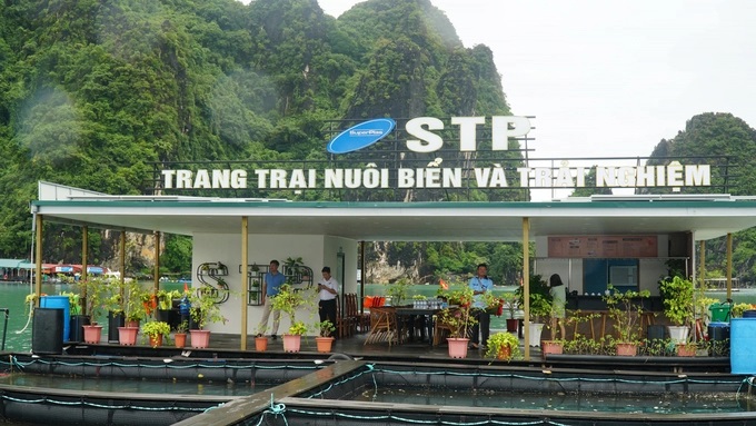 nuoi-trong-thuy-san-ket-hop-mo-hinh-du-lich-1644_20220910_124.jpg Nhà điều hành kết hợp đón khách du lịch tại HTX Phất Cờ (huyện Vân Đồn). Ảnh: Nguyễn Thành.