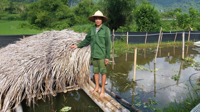 Ốc nhồi cho phép tận dụng những diện tích xen kẹp nhưng lại mang đến hiệu quả cao cho bà con nông dân Thái Nguyên. Ảnh: Đồng Văn Thưởng.