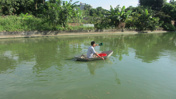 Ông Thuận cho cá ăn