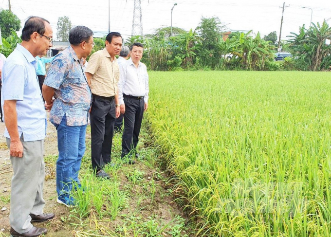 Ông Hoàng Trung (ngoài cùng bên phải) - Cục trưởng Cục Bảo vệ thực vạt và ông Lê Thanh Tùng (thứ 2 từ trái qua), Phó Cục trưởng Cục Trồng trọt cùng ngành chức năng kiểm tra sản xuất đông xuân 2021 - 2022 tại ĐBSCL. Ảnh: Trung Chánh.