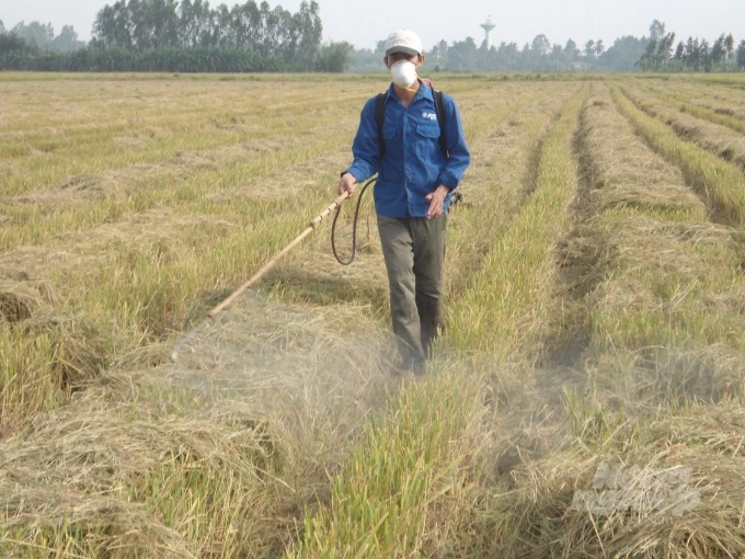 phuong-phap-xu-ly-rom-ra-lam-phan-huu-co-vi-sinh-sau-khi-thu-hoach-lua-anh-tqk-151537_600.jpg Hiện nay, có nhiều chế phẩm sinh học có thể giúp xử lý tốt rơm rạ làm nguồn phân hữu cơ cho đồng ruộng.