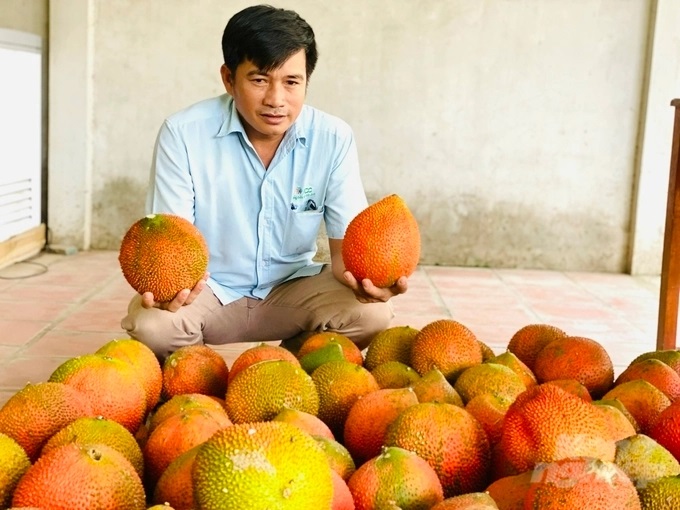 anh-1-143156_461.jpg Cây gấc góp phần mang lại kinh tế ổn định cho người dân ở xã Hòa Ân, huyện Cầu Kè. Ảnh: Lê Hoàng Vũ.