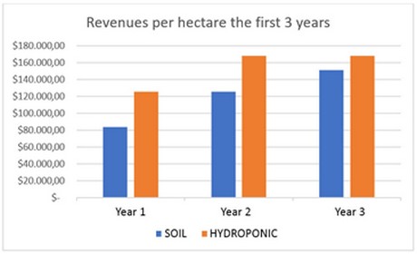 Lợi nhuận trên mỗi ha 3 năm đầu giữa phương pháp thổ canh (xanh lam) và thủy canh (cam). Đồ họa: Projar