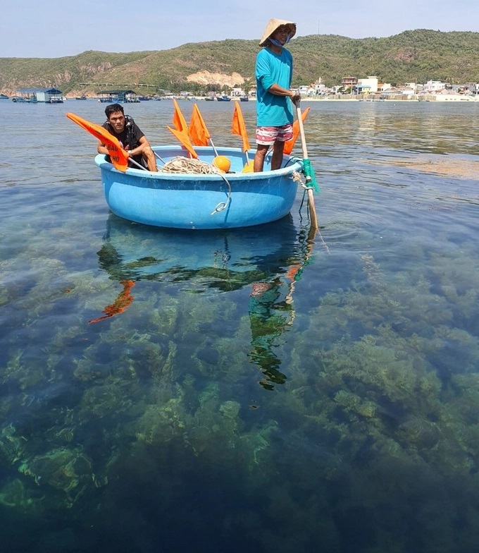 Rong biển tự nhiên ngày càng cạn kiệt do người dân khai thác tùy tiện. Ảnh: V.Đ.T