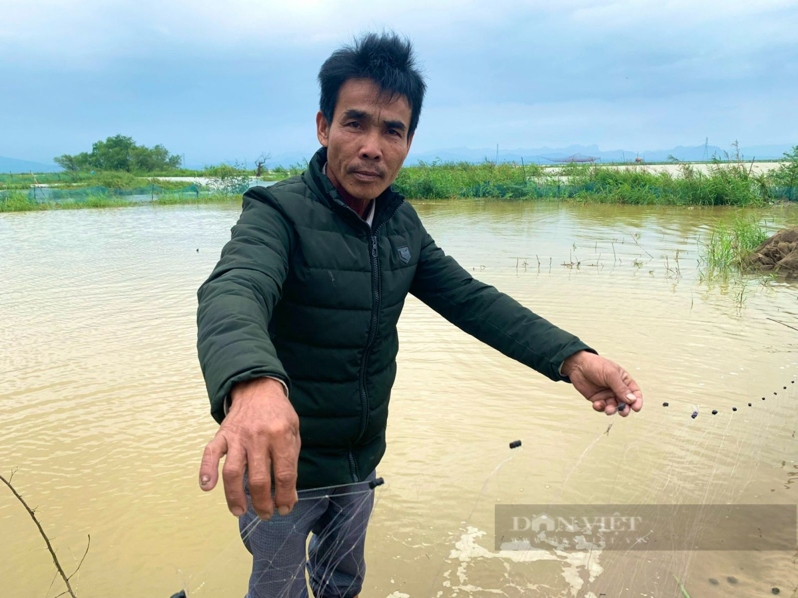 Quảng Bình: Nông dân hối hả nhổ khoai lang non mang về nhà, bất lực nhìn lúa cá mất trắng - Ảnh 5. Quảng Bình: Nông dân hối hả nhổ khoai lang non mang về nhà, bất lực nhìn lúa cá mất trắng - Ảnh 5.