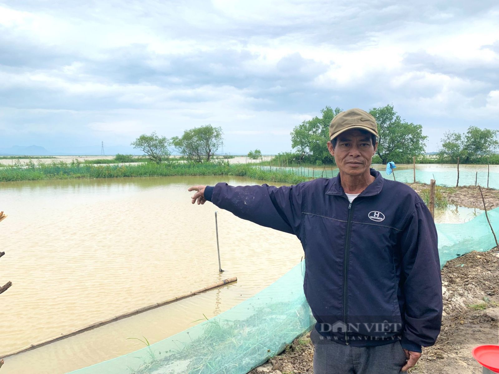 Quảng Bình: Nông dân hối hả nhổ khoai lang non mang về nhà, bất lực nhìn lúa cá mất trắng - Ảnh 6. Quảng Bình: Nông dân hối hả nhổ khoai lang non mang về nhà, bất lực nhìn lúa cá mất trắng - Ảnh 6.