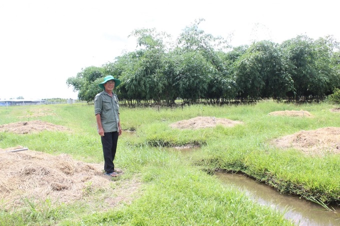 d83a81d8fea639f860b7-1649_20221024_755.jpg Sầu riêng