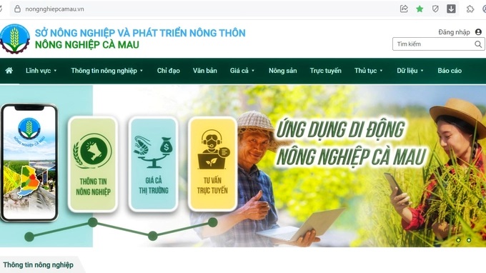 anh-3-1558_20221114_966.jpeg Ảnh 3
