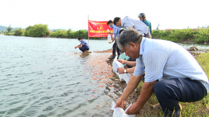 2-154446_674.jpg Thả cá giống để bảo vệ môi trường và tái tạo nguồn lợi thủy sản ở Quảng Bình. Ảnh: L.Ch