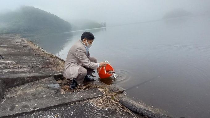 Lãnh đạo Chi cục Thủy sản Hà Tĩnh phát động thả cá giống xuống đạp Đá Hàn. Ảnh: