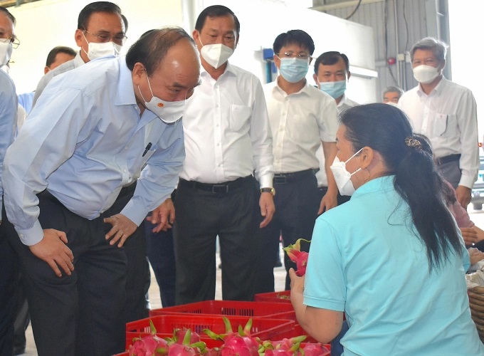 8a43e5bb4753840ddd42-1537_20220704_565.jpg Chủ tịch nước Nguyễn Xuân Phúc thăm HTX Mỹ Tịnh An ở Tiền Giang. Ảnh: Minh Đảm.