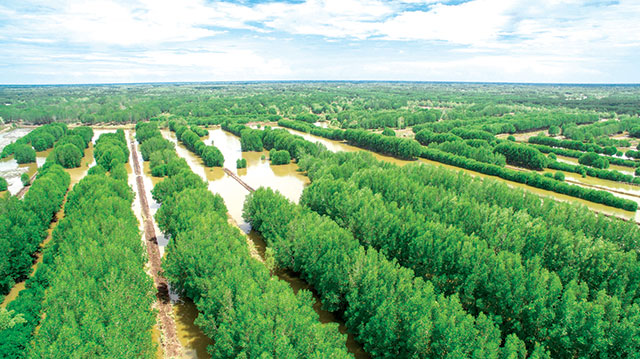 Thế mạnh tôm sú việt