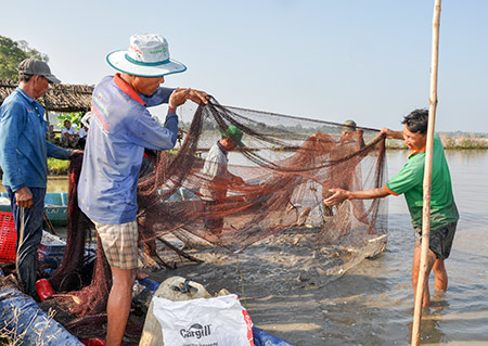 Hậu Giang: Hết lũ, nông dân tất bật bắt hàng tấn cá ruộng, vì sao bán giá rẻ nhưng vẫn có lời? - Ảnh 1. Hậu Giang: Hết lũ, nông dân tất bật bắt hàng tấn cá ruộng, vì sao bán giá rẻ nhưng vẫn có lời? - Ảnh 1.