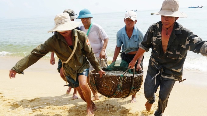 Được mùa, được giá nên ngư dân vùng biển bãi ngang rất vui mừng. Ảnh: TT.