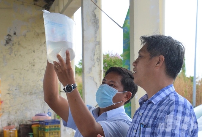Ngoài việc tăng cường sản xuất, ương dưỡng gống thủy sản, chất lượng tôm giống cũng thường xuyên được cán bộ chuyên môn kiểm tra, đảm bảo sạch bệnh trước khi tiến hành thả nuôi. Ảnh: Trung Chánh.