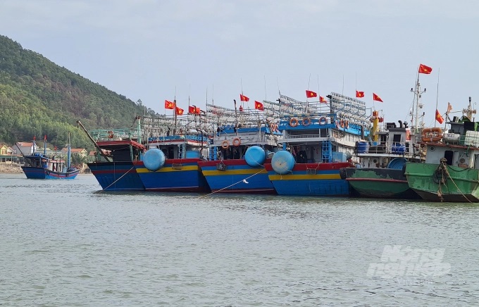 20220310_152756-091812_228.jpg Nhìn chung ngành thủy sản Nghệ An vẫn còn rất nhiều việc phải làm. Ảnh: Việt Khánh.