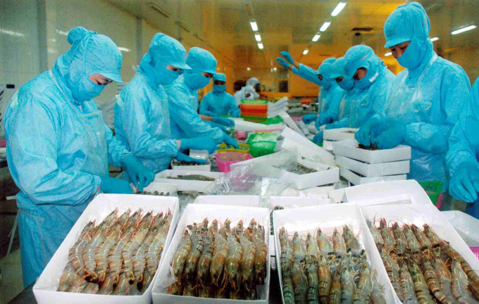 11-175522_681.jpg Tình trạng hoạt động trong giai đoạn này của các đơn vị chế biến thủy sản không thực sự hiệu quả. Ảnh: TL.