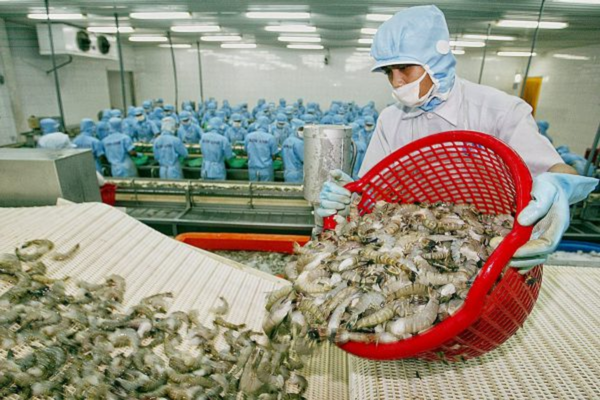 Hướng thuỷ sản trở thành ngành kinh tế thương mại hiện đại, bền vững