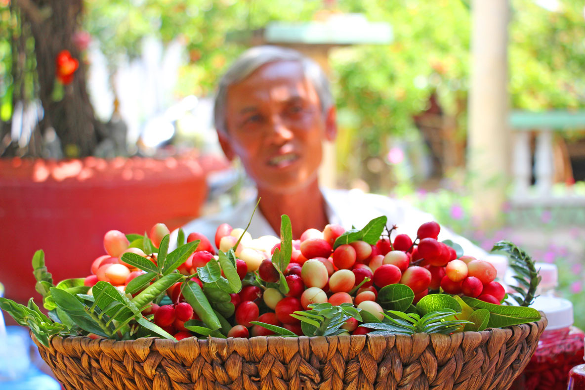 Tiền Giang: Đường đẹp mê li trồng thứ cây ra trái lạ đỏ như lửa của một ông nông dân nhiều người kéo đến xem - Ảnh 3.