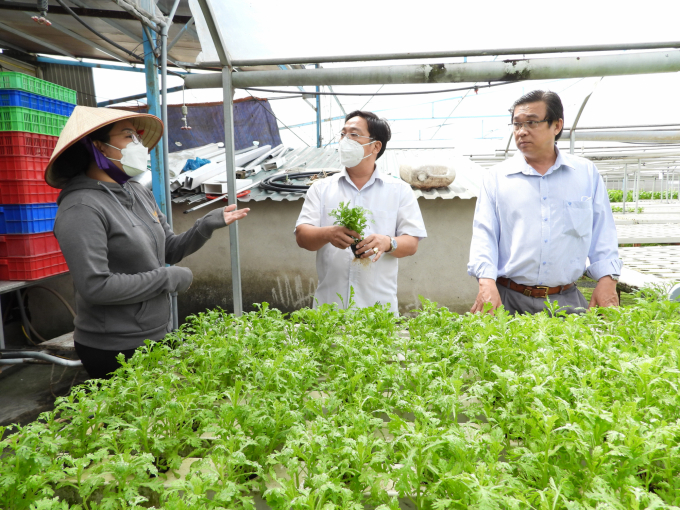 Trung tâm Dịch vụ nông nghiệp tỉnh Đồng Nai kiểm tra, đánh giá mô hình tham gia dự án trồng rau thủy canh. Ảnh: Trần Trung.