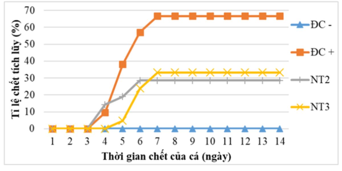 Biểu đồ thể hiện tỉ lệ chết của cá cảm nhiễm