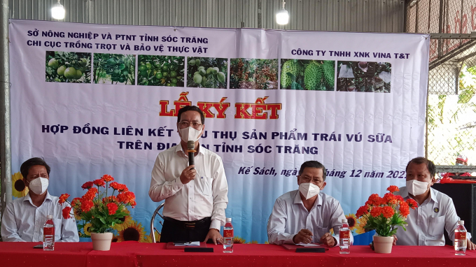 Lễ ký kết liên kết xuất khẩu vú sữa tím Kế Sách với Công ty TNHH Xuất nhập khẩu VINA T&T. Ảnh: VBQ.