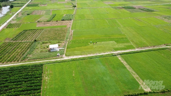 watermark_dji_0388-0501_20221004_786.jpg DJI_0388
