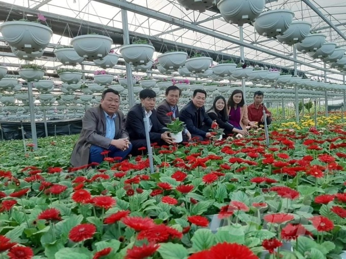 Các cán bộ khoa học, quản lý nông nghiệp đến thăm vườn cơ sở trồng hoa của anh Trào. Ảnh: NVCC.