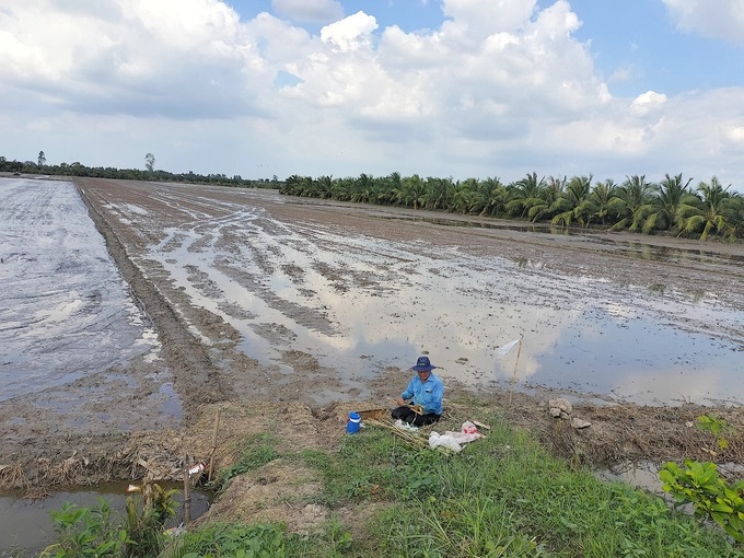 Ngành NN-PTNT Tiền Giang khuyến cáo nông dân các địa phương phía đông của tỉnh xuống giống lúa hè thu sau ngày 15/5. Ảnh: Minh Đảm.