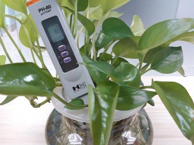 REVIEW BÚT PH TRONG NƯỚC MODEL PH-80: CÓ NÊN MUA KHÔNG?