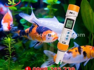 5 Biện Pháp Kiểm Soát, Ổn Định pH Nước Hồ Nuôi Cá Koi  
