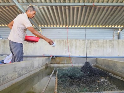 Khởi nghiệp từ nuôi lươn không bùn