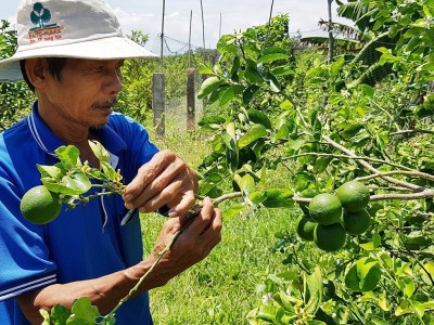 Trí tuệ đi trước, công nghệ theo sau – nông dân thắng lớn