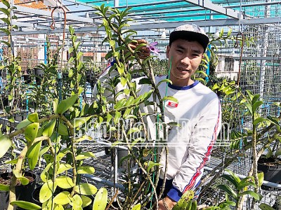 Nam Định: Cả làng trồng cây cảnh, anh này lại đi trồng lan rừng, ai ngờ có ngày chốt đơn tới tấp