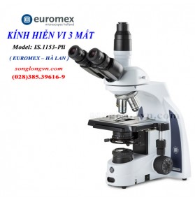Kính hiển vi sinh học 3 mắt dòng iScope IS.1153-PLi Euromex-Hà Lan