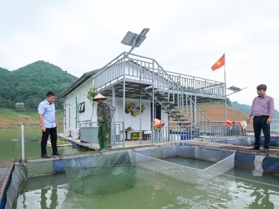 Làm gì để bảo vệ đàn cá khi mực nước lòng hồ xuống thấp?