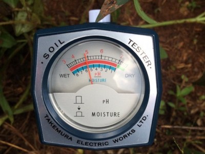 Cách đo pH đất ? Biện pháp cải tạo đất chua, đất kiềm nhanh và hiệu quả
