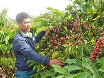 Ngăn chặn nguy cơ kim loại nặng trong nông nghiệp