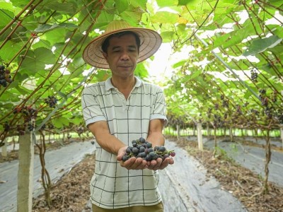 Từ vùng đất dốc cằn đến những chuyến bay xuất khẩu nông sản