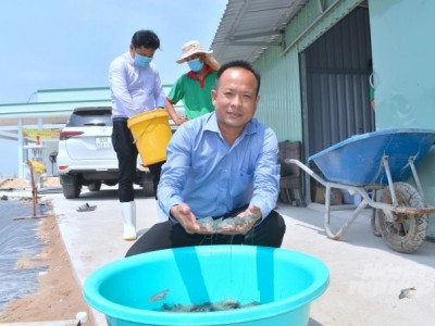 Tỷ phú nuôi tôm công nghệ cao ở cù lao Tân Phú Đông
