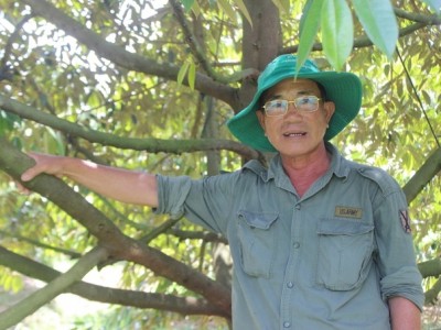 Điểm nhấn ứng dụng khoa học nông nghiệp Tây Ninh Vườn sầu riêng hữu cơ bạc tỷ trên đất trũng