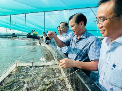 Ứng dụng công nghệ cao nâng tầm ngành tôm Bạc Liêu